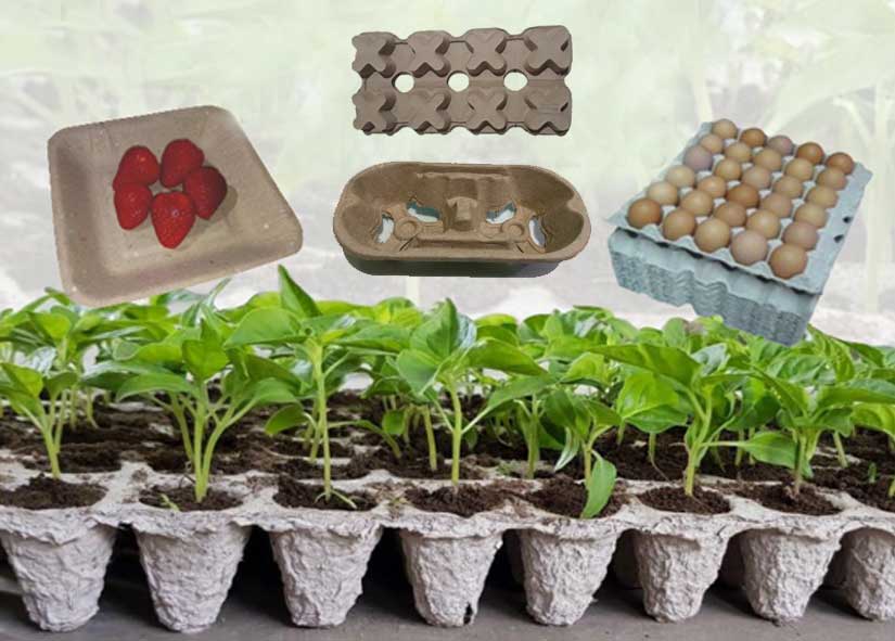 molded pulp products